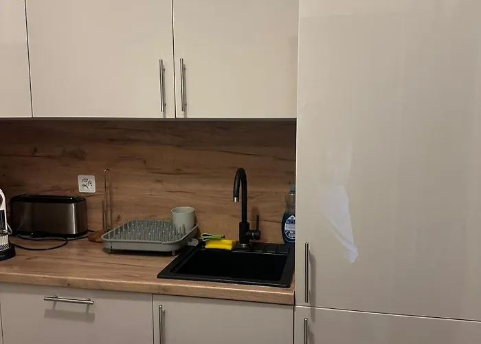 Avec Grande Terrasse Les Bains Appartement *